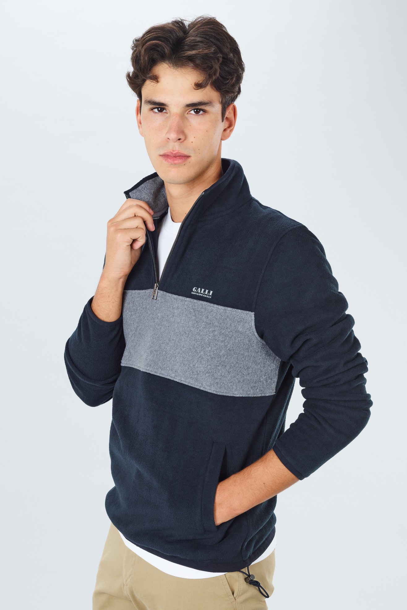 Polo polar