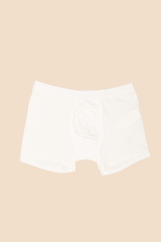 Boxer malha