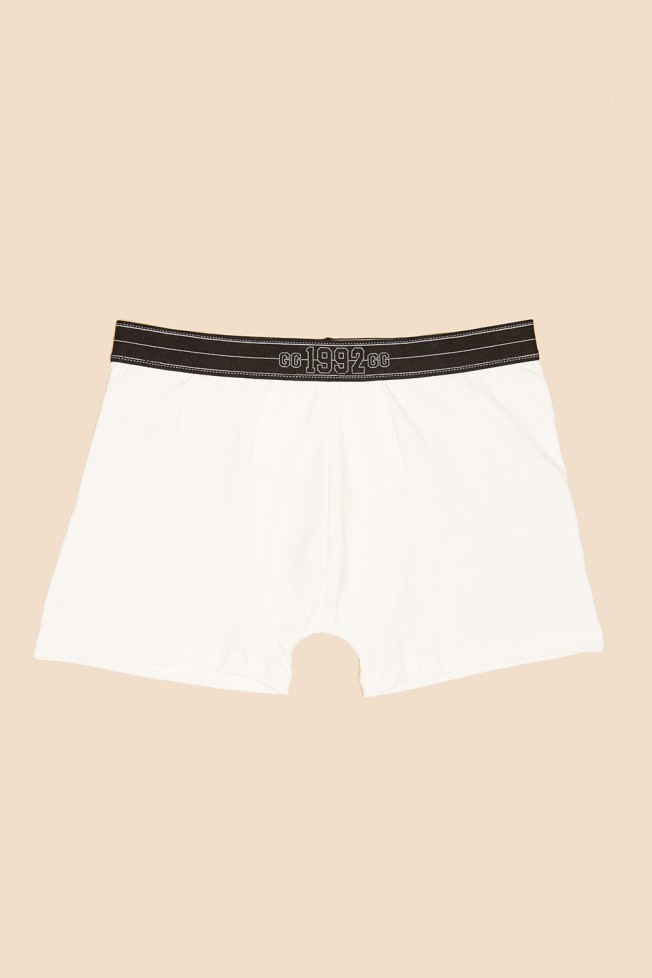 Boxer malha