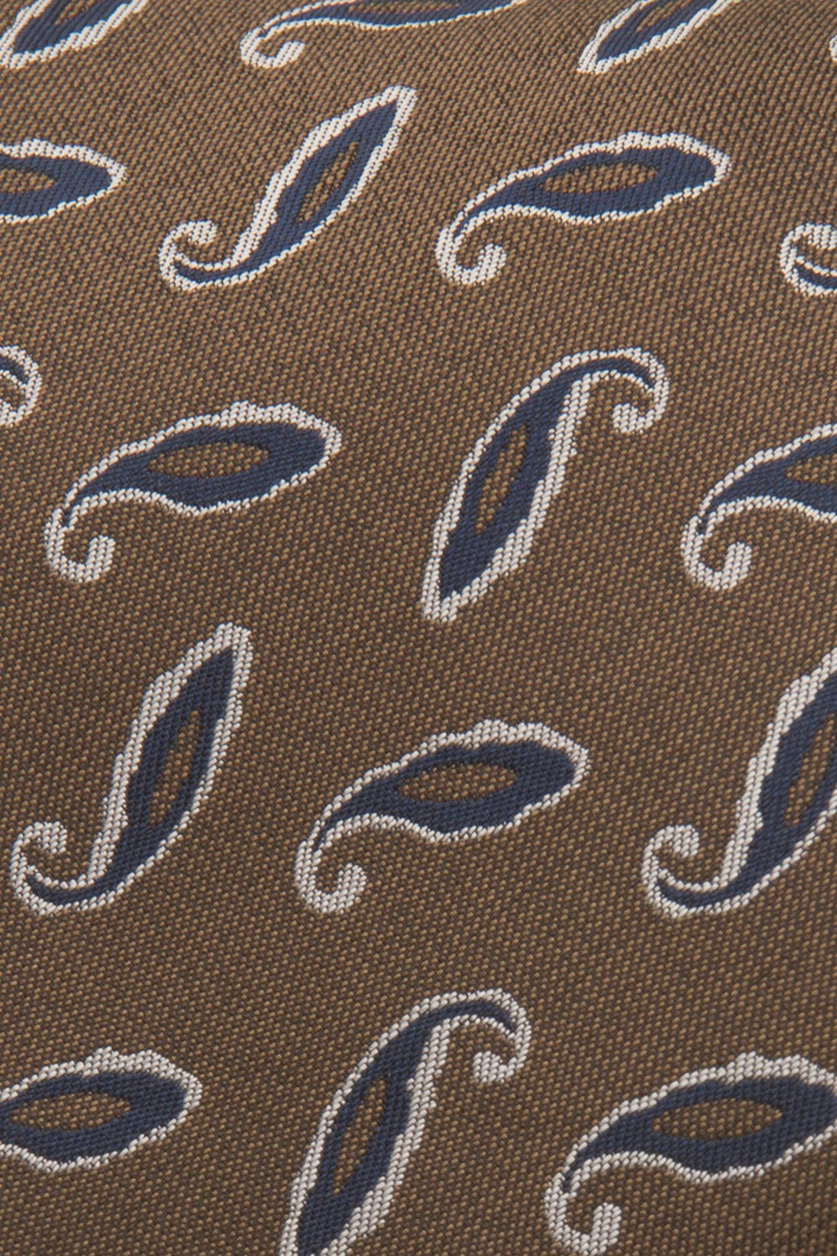 Corbata con estampado cornucopia