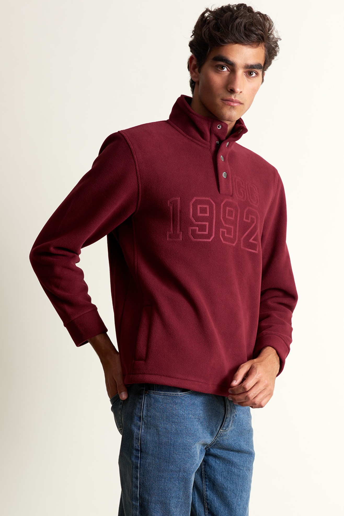 Polo polar