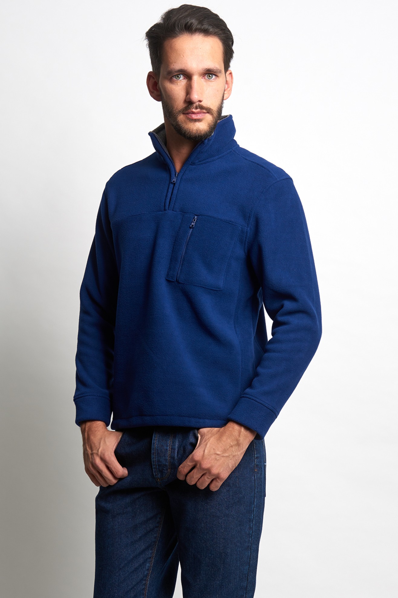Polo polar