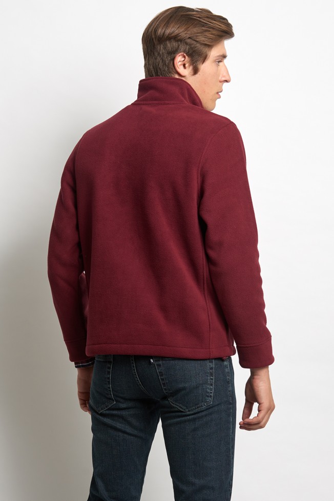 Polo polar Polo polar