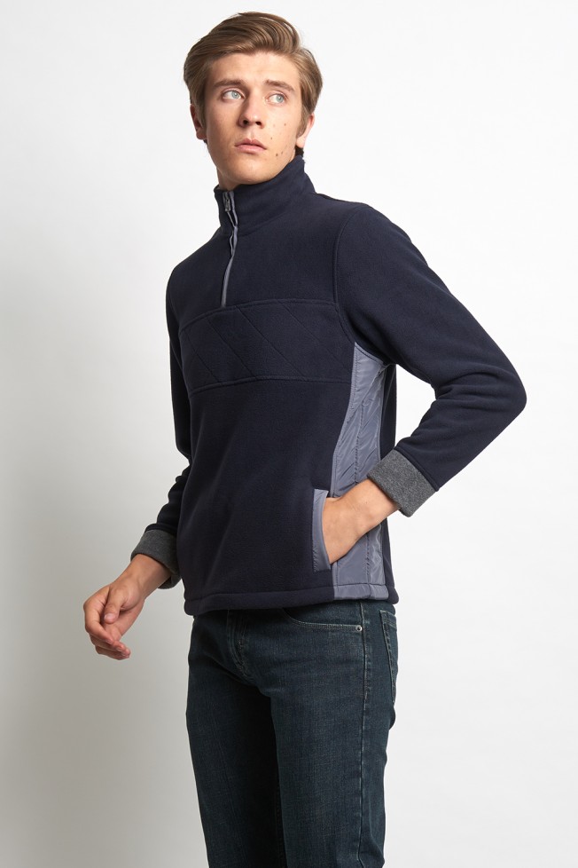 Polo polar  Polo polar