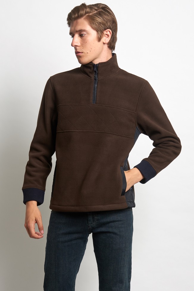 Polo polar