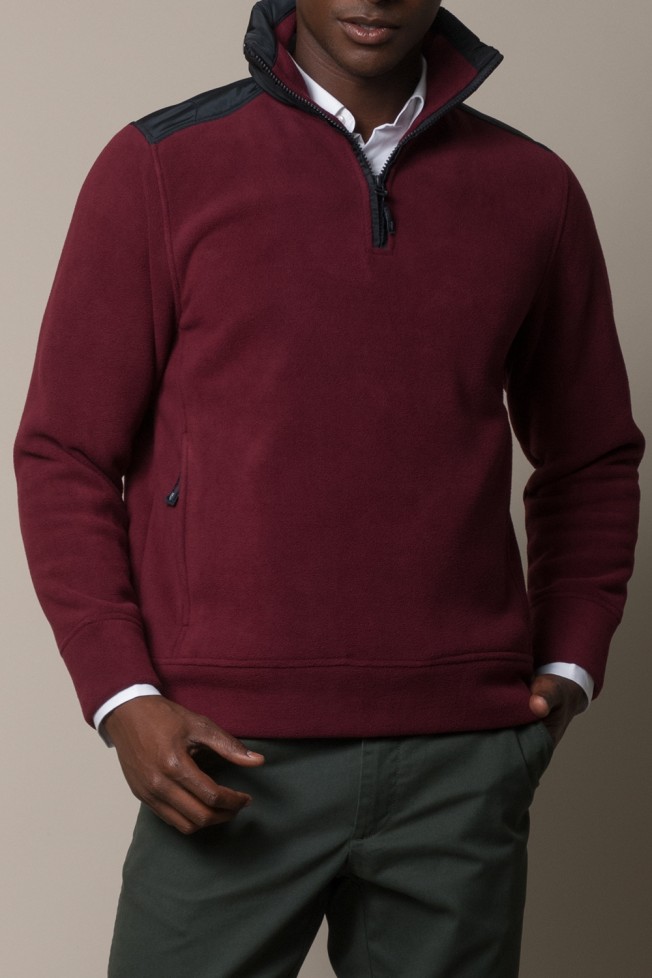 Polo polar