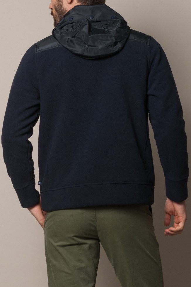Polo polar  Polo polar