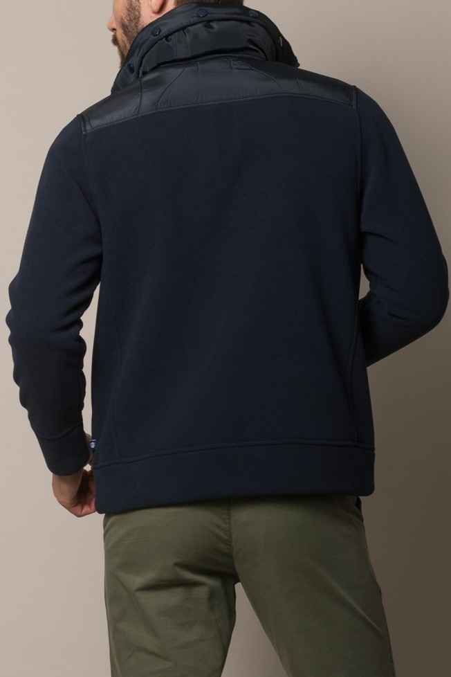 Polo polar  Polo polar