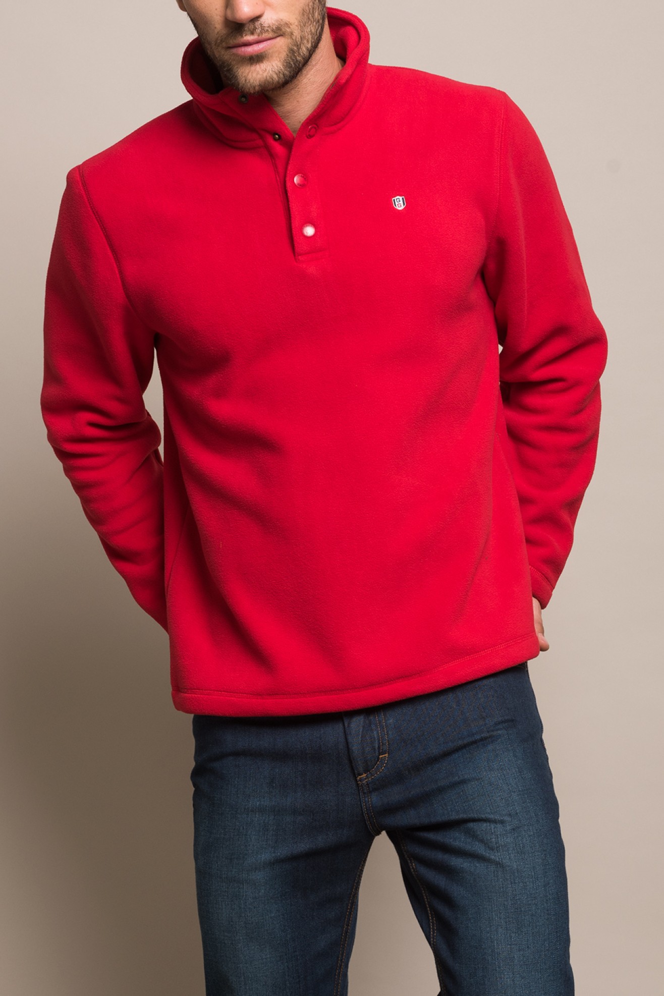 Polo polar