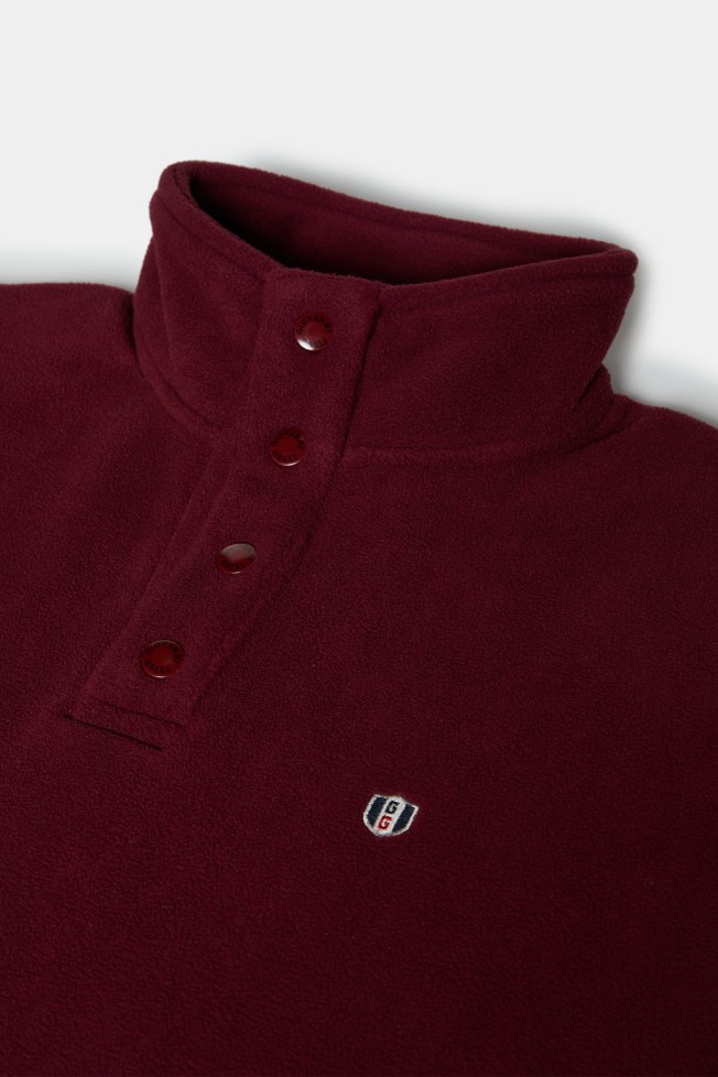 Polo polar  Polo polar