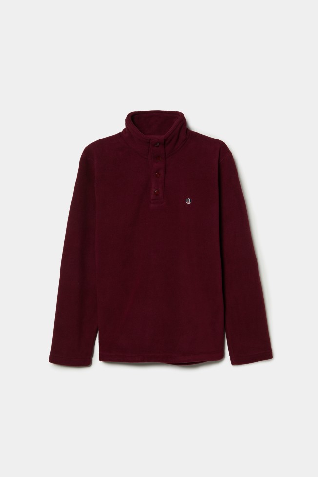 Polo polar  Polo polar