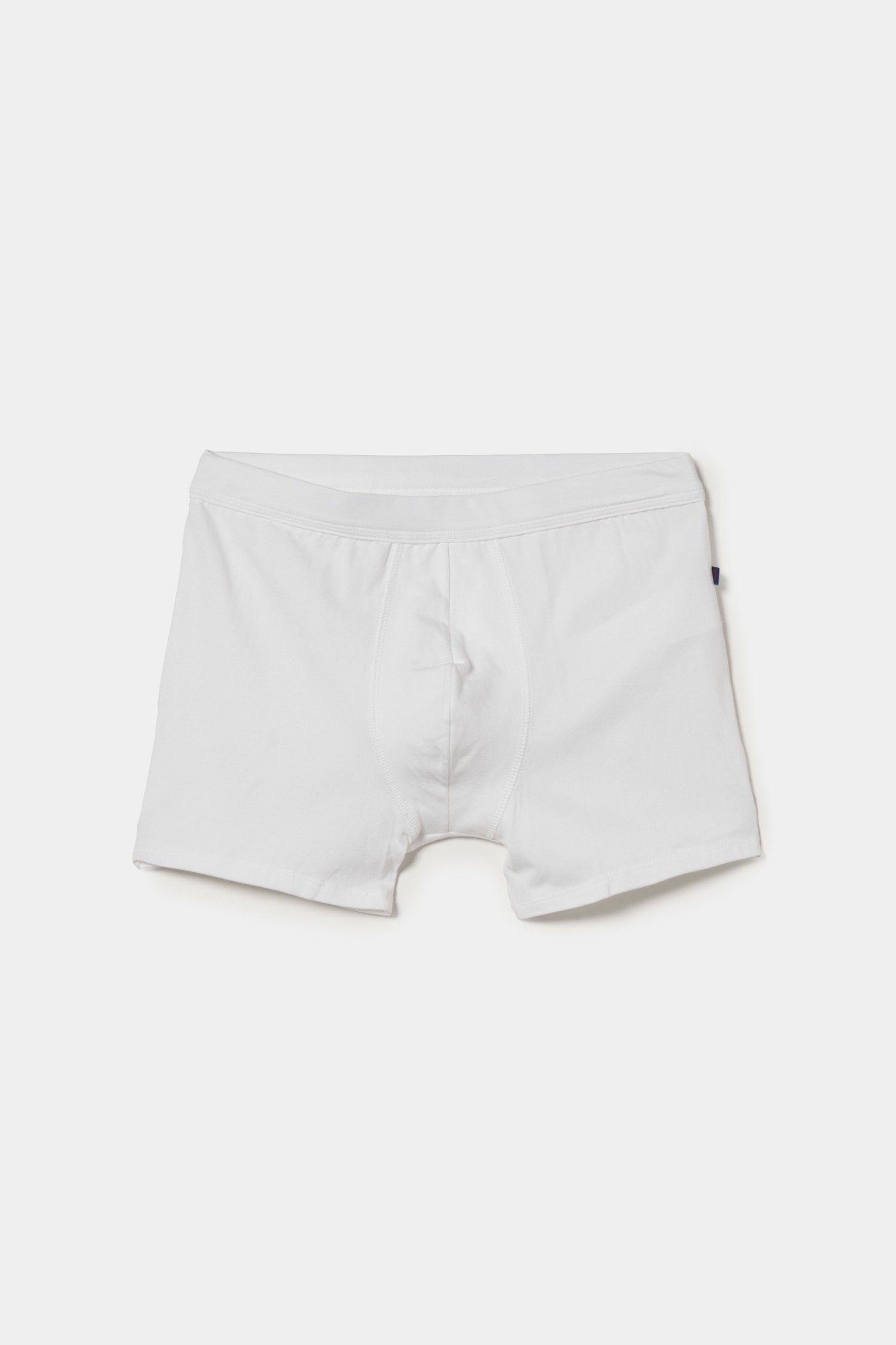 Boxer malha