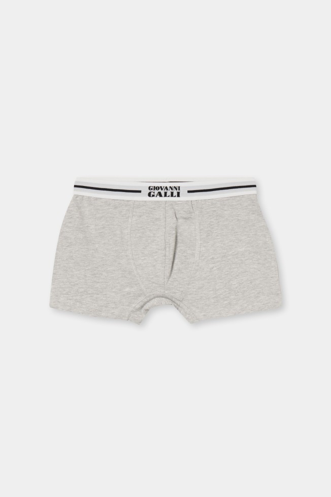 Boxer malha