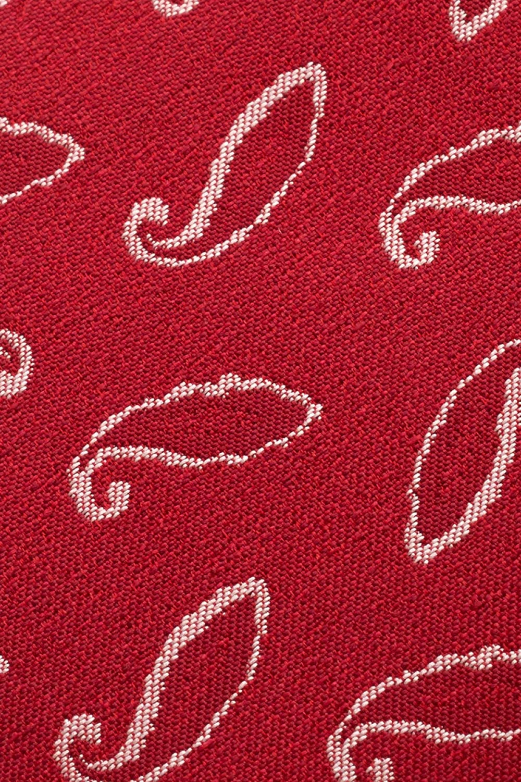 Corbata con estampado cornucopia