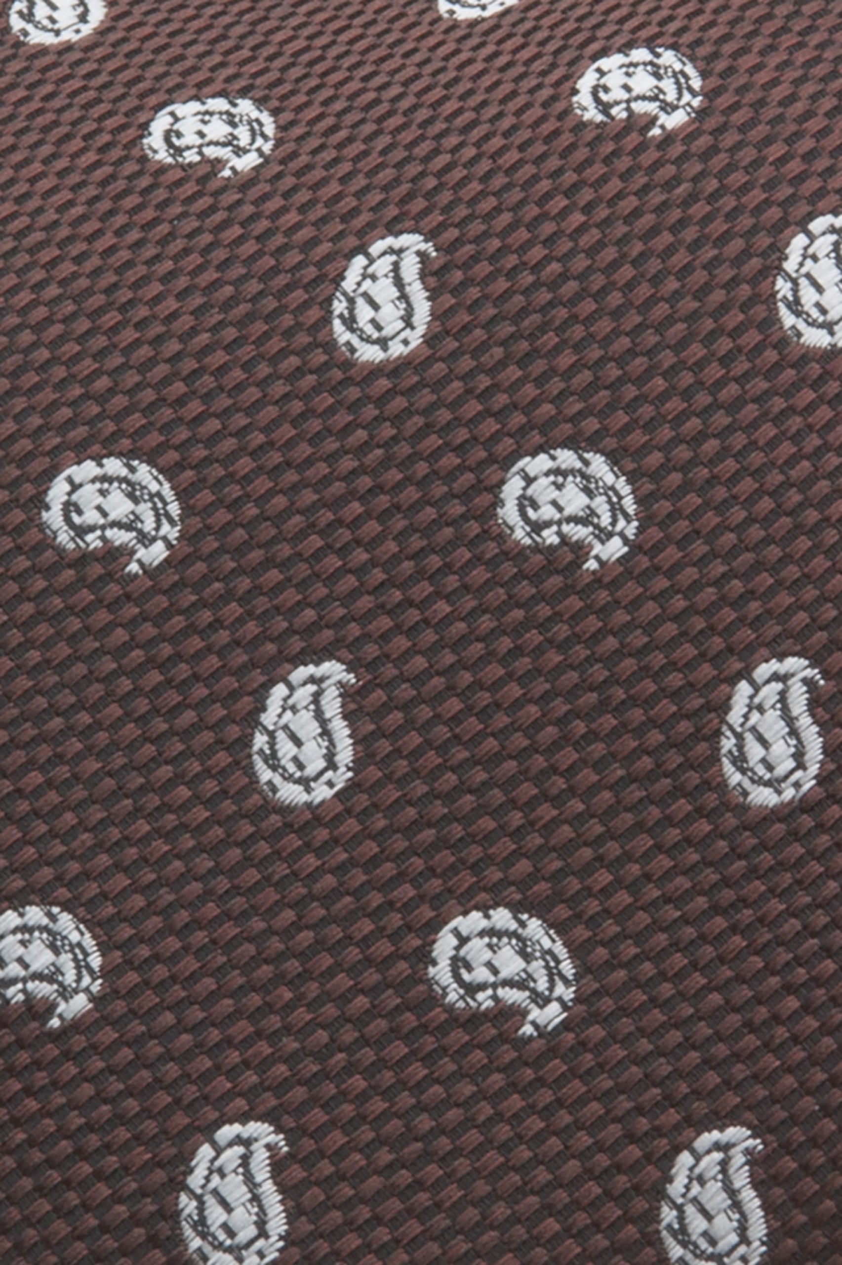 Corbata texturizada Cornucopias