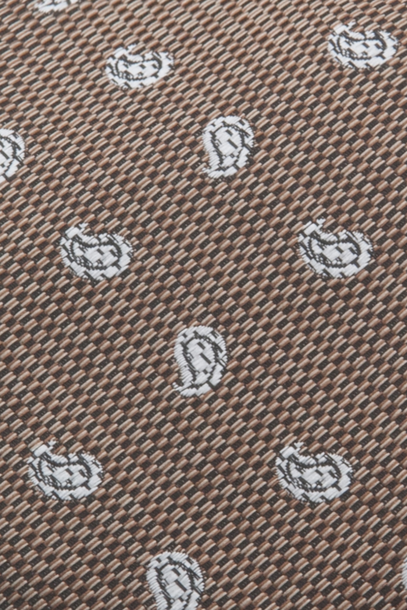 Corbata texturizada Cornucopias