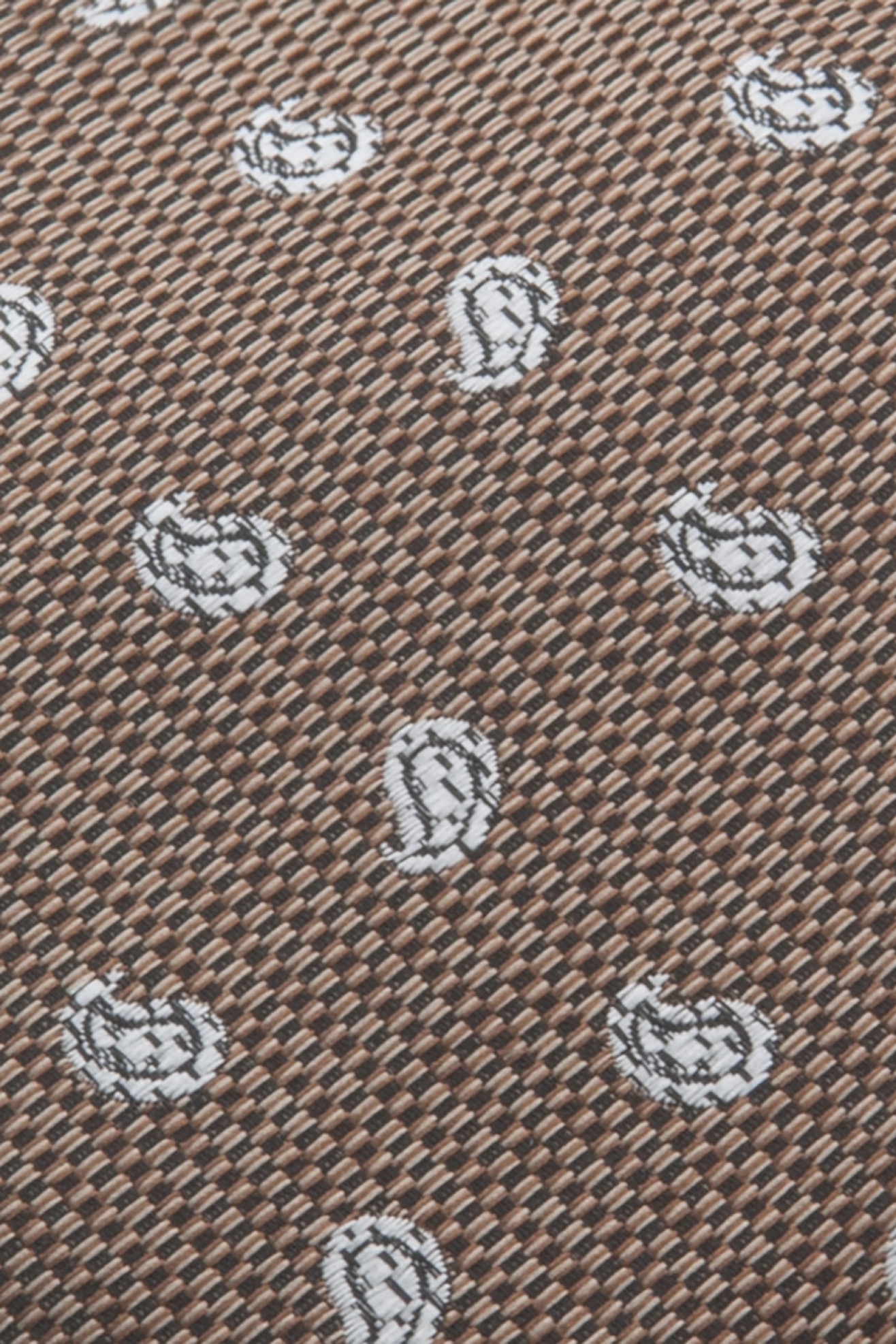 Corbata texturizada Cornucopias