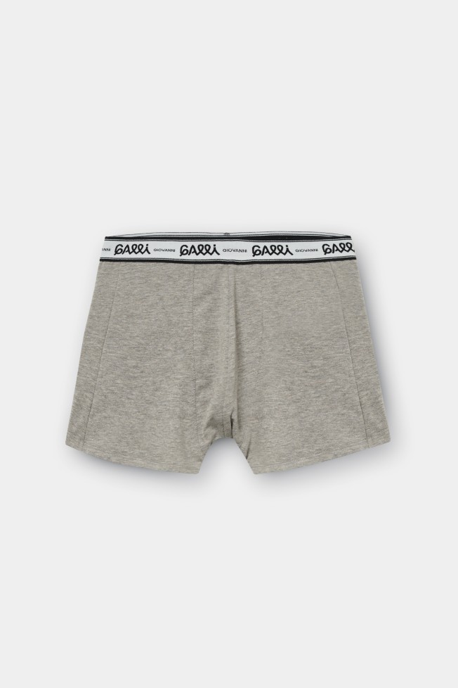 Boxer malha cinzentas Boxer malha cinzentas
