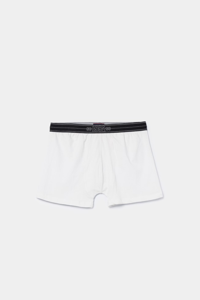 Boxer malha