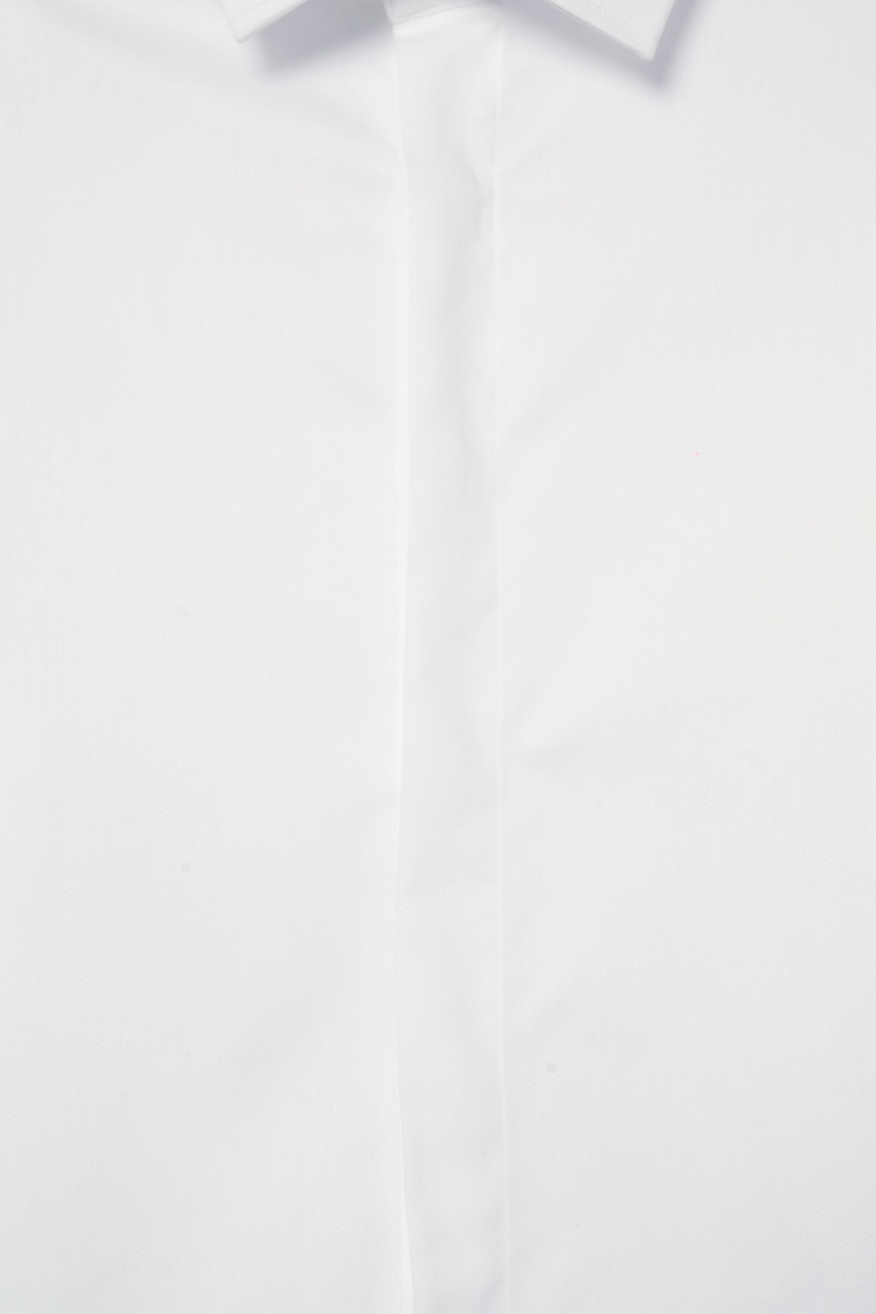 Camisa clásica de algodón regular fit