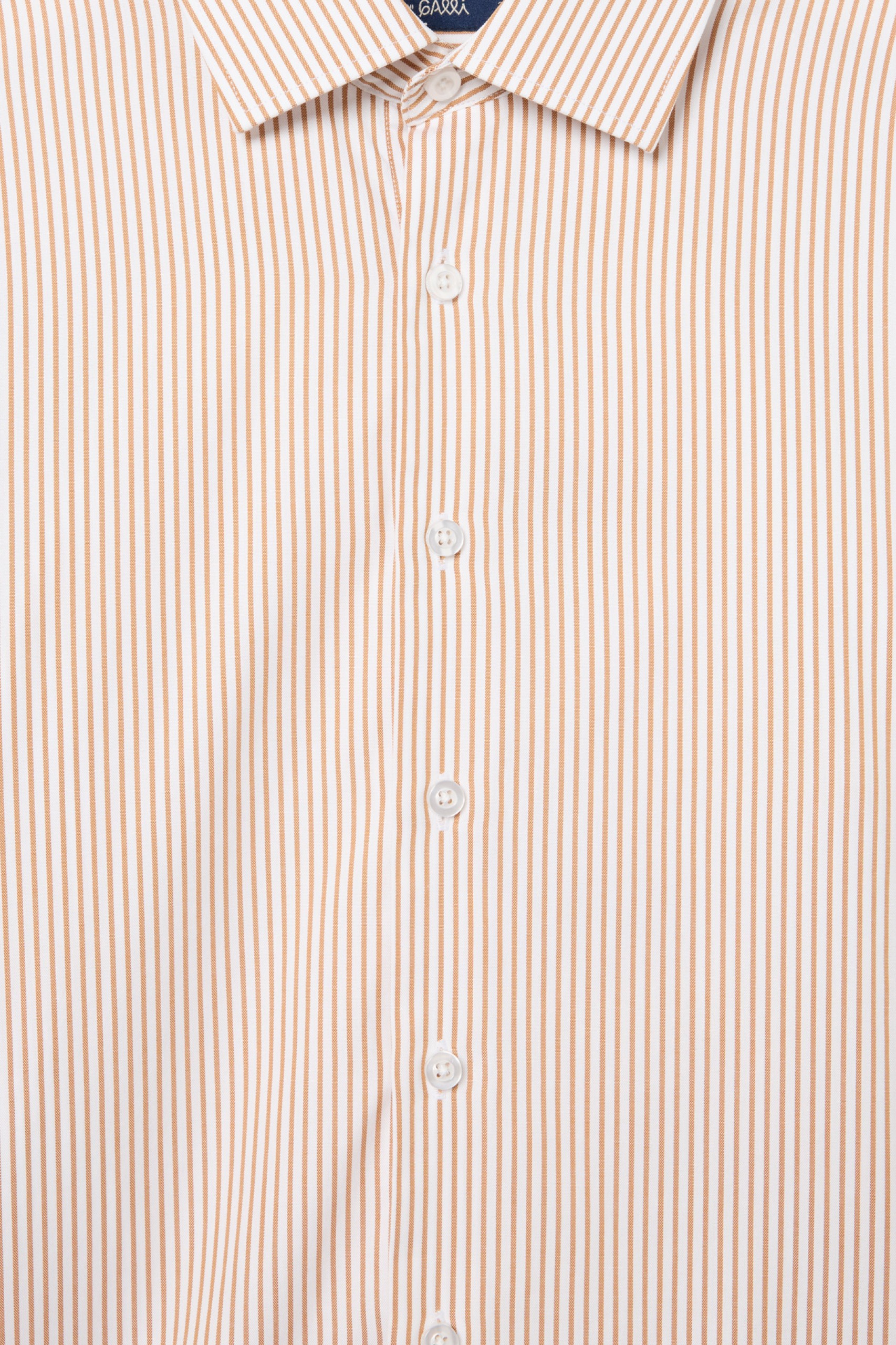 Camisa clásica regular fit