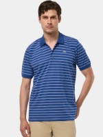 Polo s riscas regular fit
