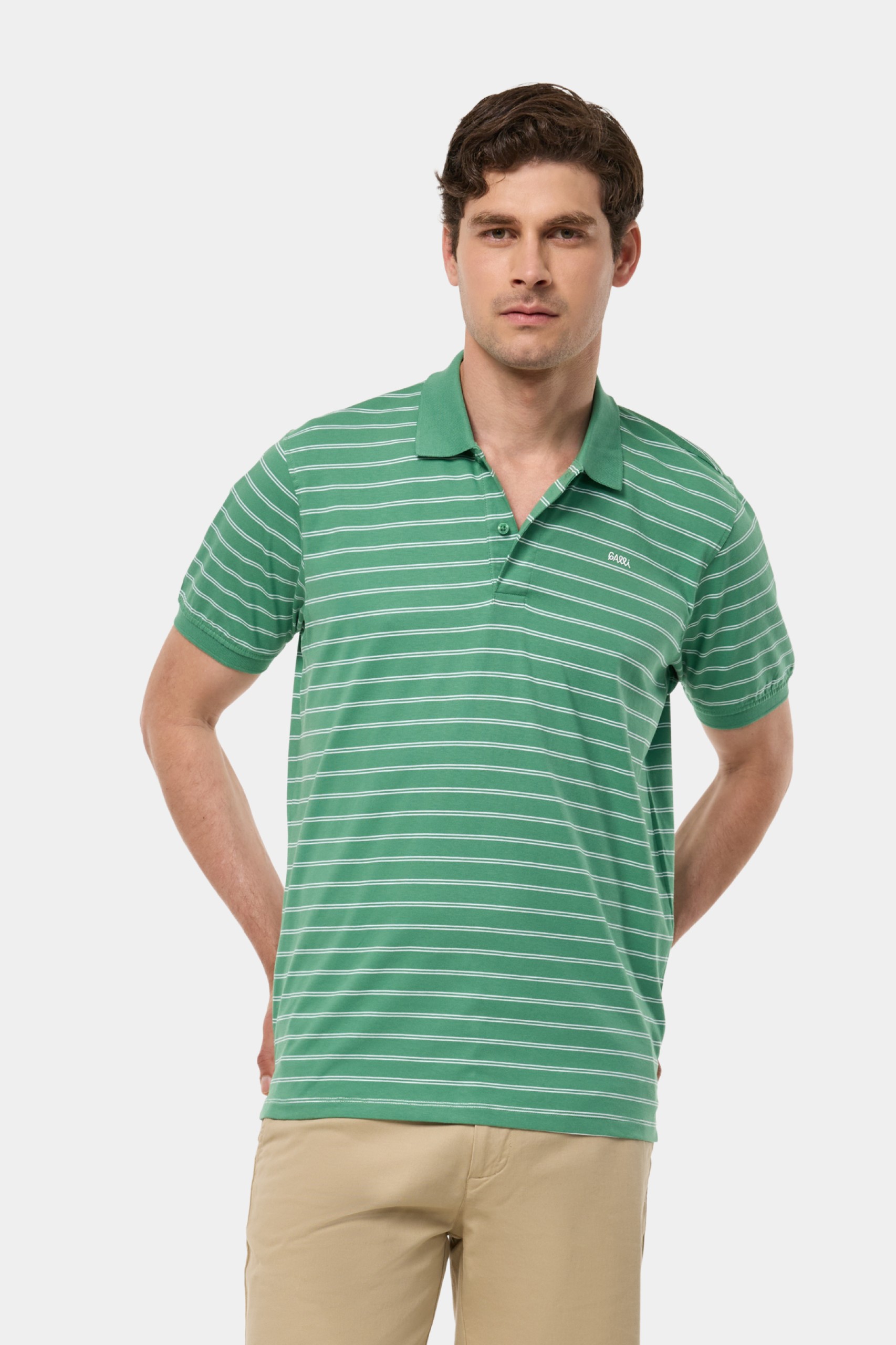 Polo de rayas regular fit