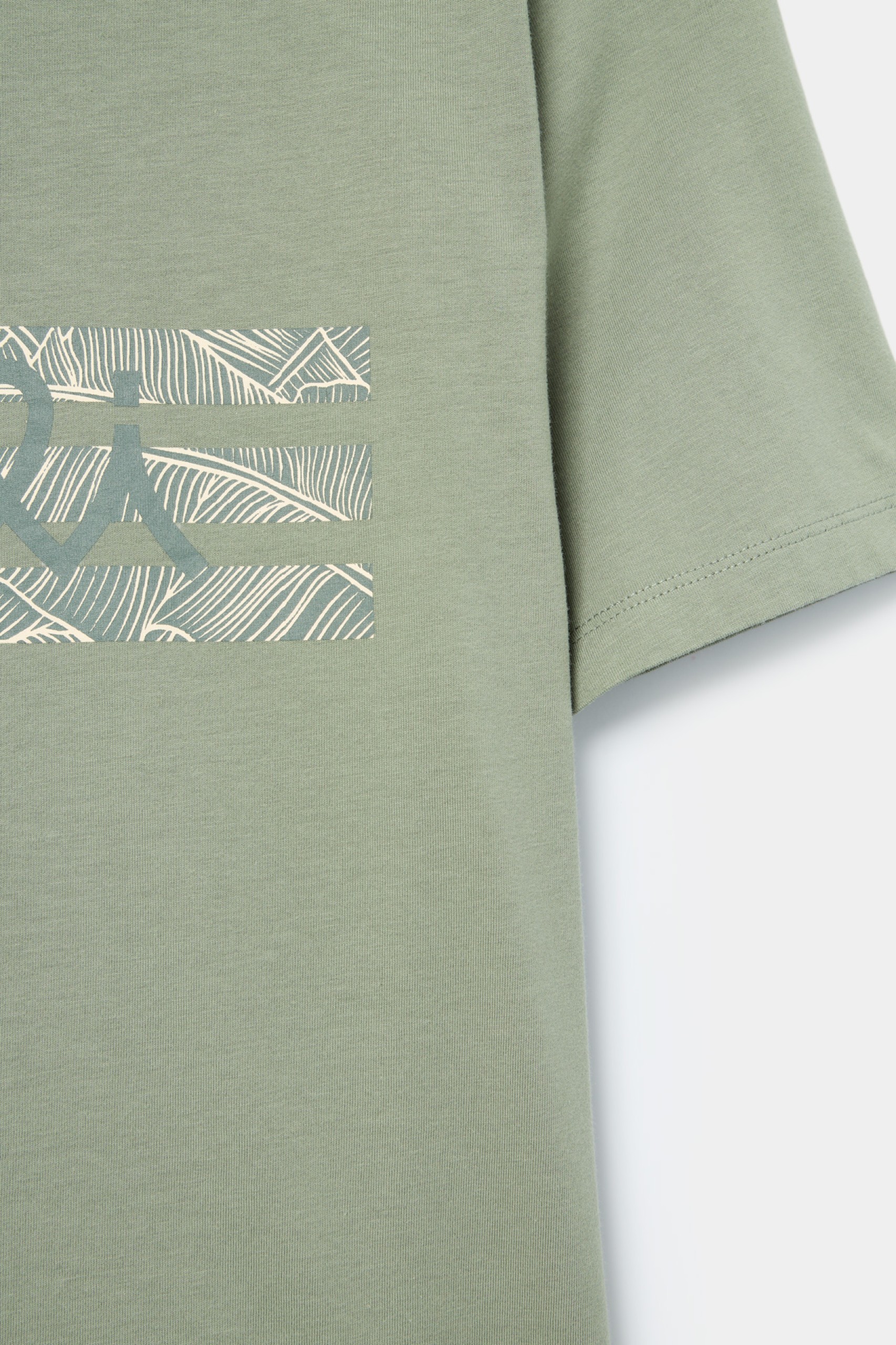 Camiseta de algodón