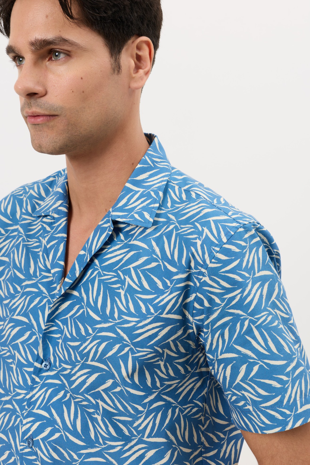 Camisa
