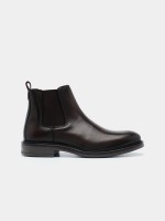 Bota